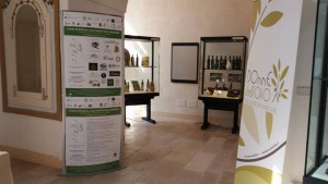 Ingresso mostra